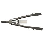 Ein allgemeines Bild