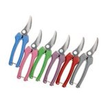 Ein allgemeines Bild