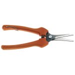 Ein allgemeines Bild