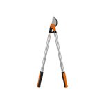 Ein allgemeines Bild