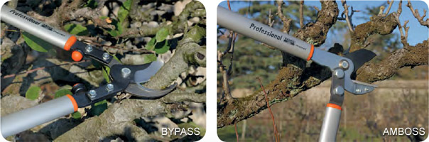 Bypass und Amboss