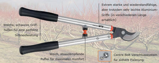 Astscheren