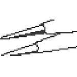 Spitze