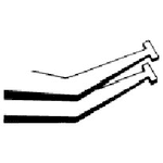 Spitze