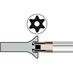 Torx