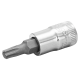 1/4" Schraubendreher-Einsatz. Torx. T 6