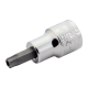 3/8" Schraubendreher-Einsatz. TORX mit Stift. TR-50. SB-Verpackung