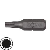 1/4" Bits, 25 mm, XZN, M 6, 10er Pack