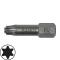 1/4" Bits, 25 mm, Edelstahl, Torx®, T 15, 5er Pack
