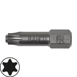 1/4" Bits, 25 mm, Edelstahl, Torx®, T 15, 5er Pack