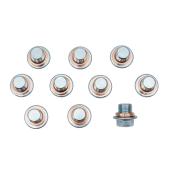 Werkzeugsatz mit 10 Ölablassschraube M22x1.5 und 20 Dichtringen