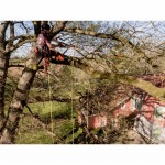 Teleskop-Astsäge, grobe Verzahnung, passend zu Bahco ASP-Hochentastungs-System